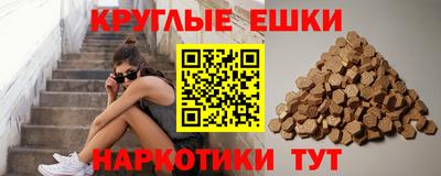 ешки Можга