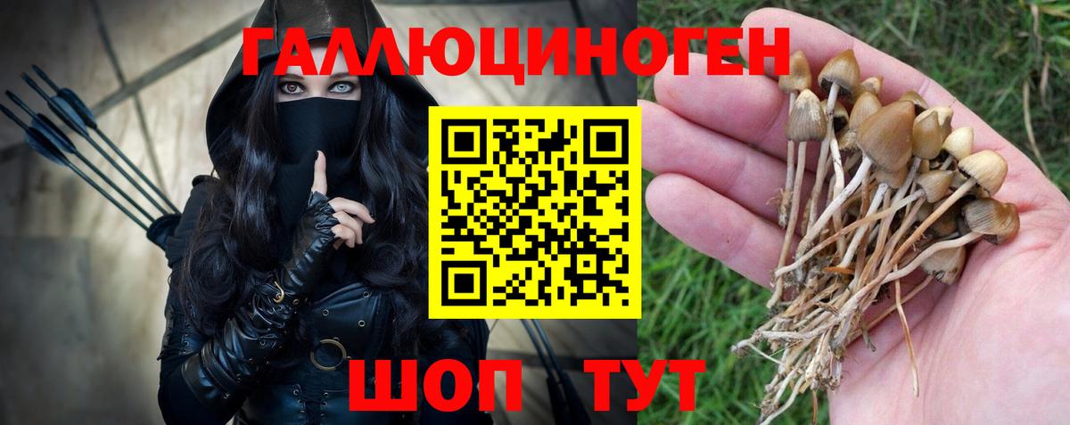 Галлюциногенные грибы прущие грибы  Вход с VPN  Черкесск  Галлюциногенные грибы мицелий 